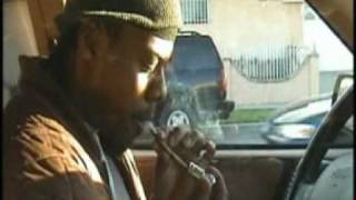 Watch Trees Real video