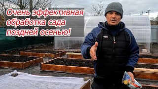 Классная Искореняющая Обработка Сада Поздней Осенью- Дёшево И Эффективно!