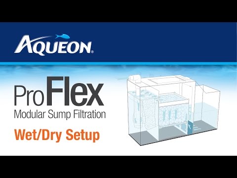 Aqueon ProFlex Sump Wet Dry Setup