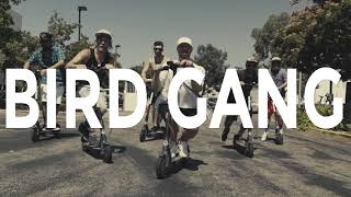 B I R D G A N G