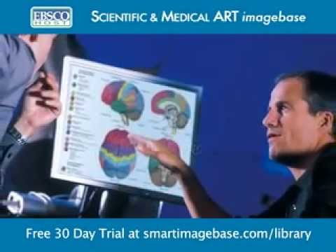 krebs cycle animation. krebs cycle animation. krebs cycle animation.