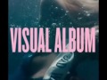 Beyonc Releases Surprise Self Titled Visual Album Shocking Fans