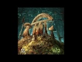 Infected Mushroom - Nerds On Mushrooms [HQ Audio]