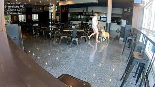 Cafe Sample Video - June 6 Summit