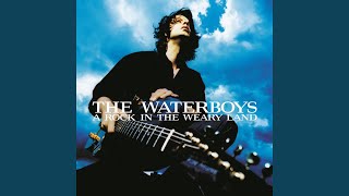 Watch Waterboys Anatomy Of A Love Affair video