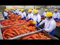 Why Lobster Is So Expensive - Millions of Lobsters Processing Factory