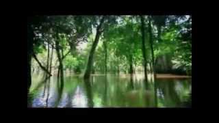 Watch Counting Crows River Shannon video