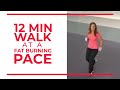 12 Minute Walk at Fat Burning Pace | Walk at Home