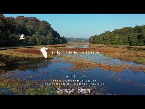 WildEdges