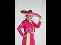MIRIAM La nueva voz del pueblo --El toro relajo