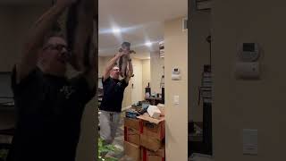 Animal Abuse Caught In 4K Part 3