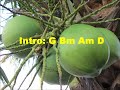 BUKO by Jireh Lim Lyrics w Guitar Chords