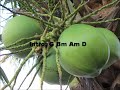 Buko By Jireh Lim Lyrics W Guitar Chords images Buko By Jireh Lim Lyrics W Guitar Chords