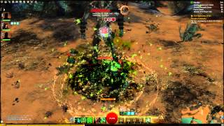 Necro Dps Build Vs Veteran Giant With Lich Form - 14 Seconds