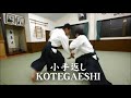 Kotegaeshi - 【Aikido】Shirakawa Ryuji sensei