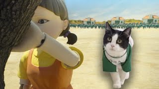 Red Light, Green Light. Squid Game With The Cat. Episode 2