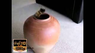 Cat Funny New 2015 Hd