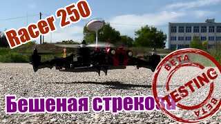 Смотреть как сделать террариум Смотреть как сделать террариум