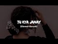 Tu Kya Janay (Slowed+Reverb) | Sahir Ali Bagga | UB WRITES