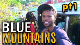 Kino On The Journey To The Blue Mountains From Seaview Garden (Pt1) | EP676 | JAMAICA GOOD LIFE 🇯🇲