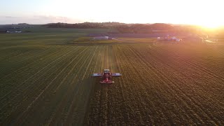 Cutting Silage 2020 1. Cut Mey Ferguson 7726