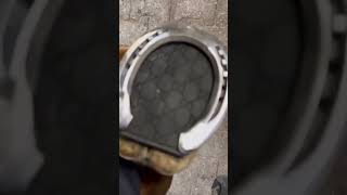 Gucci Horseshoe