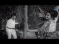 Punnaigayo Poo Mazhayo Delhi To Madras Song images Punnaigayo Poo Mazhayo Delhi To Madras Song