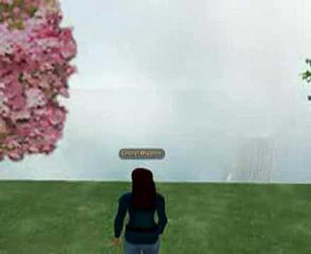 Education in Second Life: Explore the Possibilities