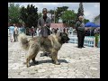 Азербайджане 