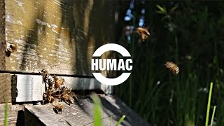 HUMAC & VČELY