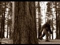 squatch found in yoakum, texas squatch found in yoakum, texas