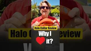 Halo Collar 4 Review The Gps Dog Collar Every Dog Lover Needs