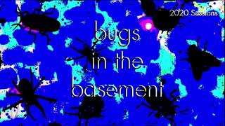 Bugs In The Basement - Simulium Meridionale aka The Turkey Gnat