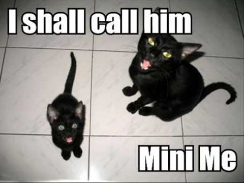 Lolcats