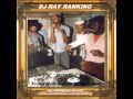 Cool Reggae Vibes (From Rub a Dub to Rockers!) By DJ Ray Ranking