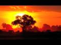 Wu Wei - Practice Wu Wei - Practice