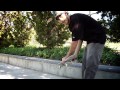Dave Bachinsky Skateboard Trick Tip - How to do Kickflip Frontside Tailslides - Alli Step by Step
