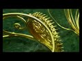 Traditional Jewellery Craftsmanship in Egypt klip izle