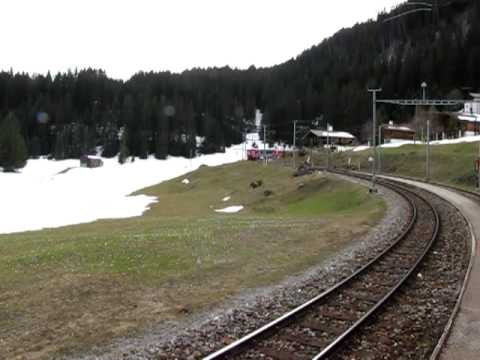arosa