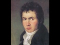 Beethoven: String Quartet no. 7 "Razumovsky no. 1" (3/4)
