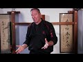 Wing Chun - Wooden Dummy Basics Pt 3