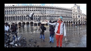 Видео Венеция. Площадь Святого Марка. Мост Риальто. Падающая башня. Quinta Parte. от ПРИВЕТ ЖУЧЕН, площадь Святого Марка, Загреб, Хорватия