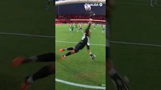 TOsE8B6eVNo Video Image