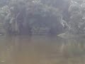 Bangladesh Pond At Daylight images Bangladesh Pond At Daylight