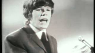Watch Hermans Hermits Cant You Hear My Heartbeat video