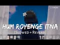 Hum Royenge Itna Hame Maloom Nahi Tha [Slowed+Reverb] - Aleena Khan | LoFi Version Music