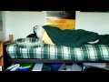 makemebad35