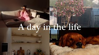 My First Day In The Life A Weekday Of Appointments, Admin And My Daily Routine