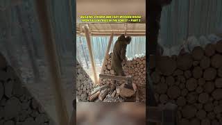 Building A Warm And Cozy Wooden House From Fallen Trees In The Forest