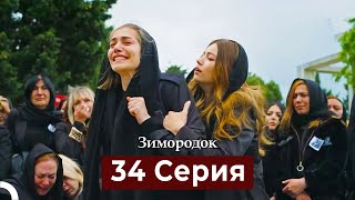 Зимородок 34 Cерия (Русский дубляж)